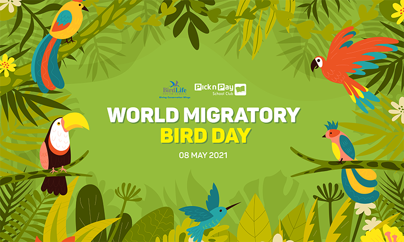 Global Birding Day
